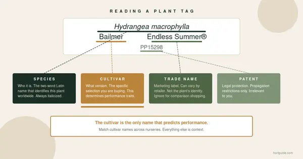 Botanical Nomenclature: How to Read a Plant Name