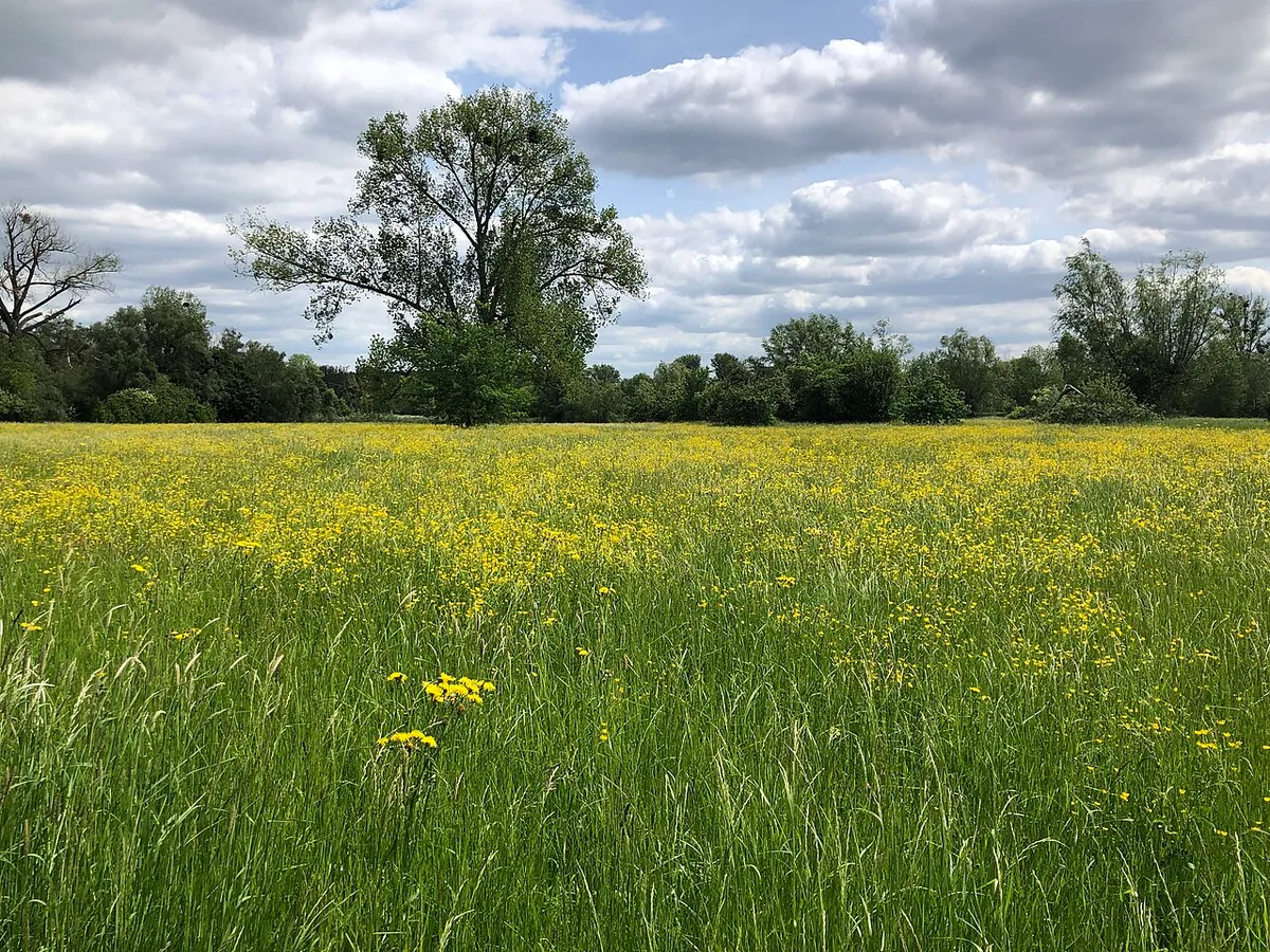 Growing Degree Days: The Number That Tells You What Your Plants Are Actually Doing