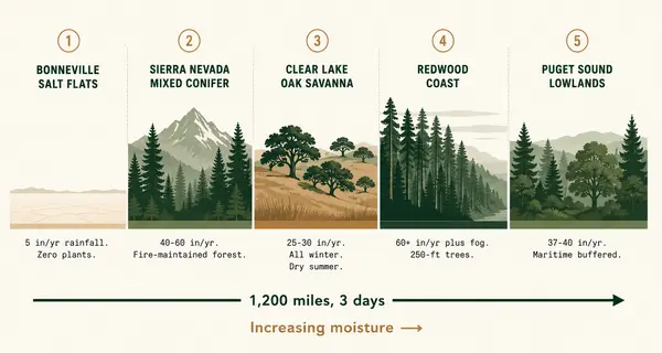 Reading the Landscape: What a Desert-to-Rainforest Drive Teaches About Climate and Plants