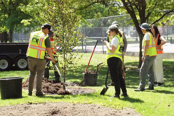 Right Tree, Right Place