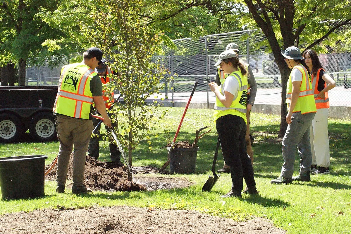 Right Tree, Right Place