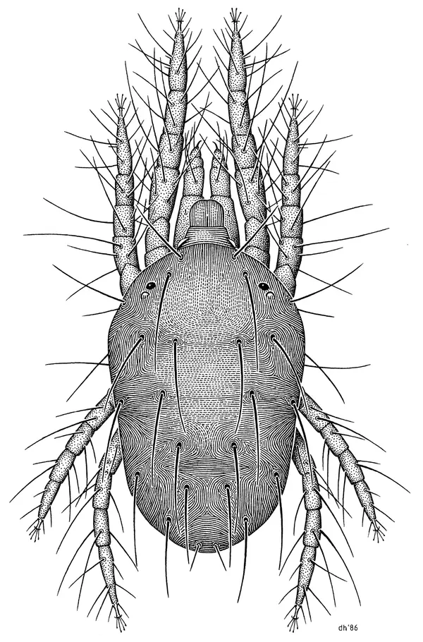 Spider Mites: The Pest That Thrives When Your Plants Are Already Stressed