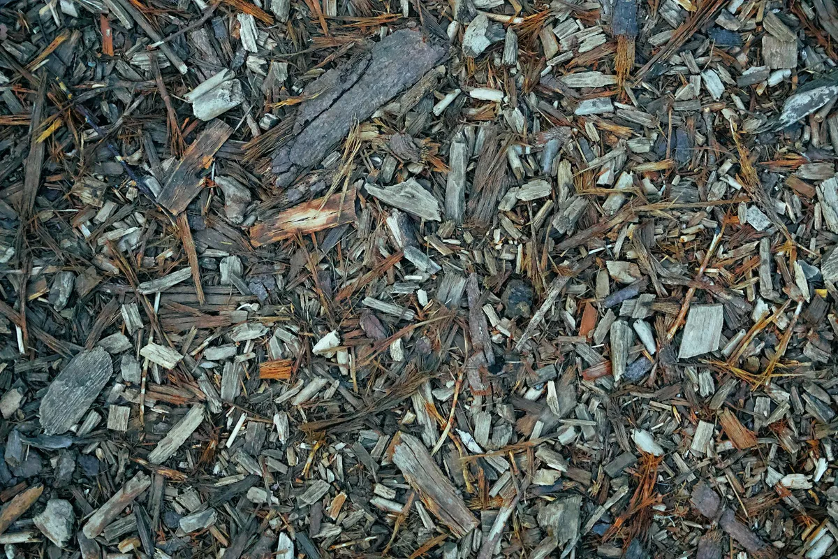 Do Wood Chips Steal Nitrogen From Your Soil?