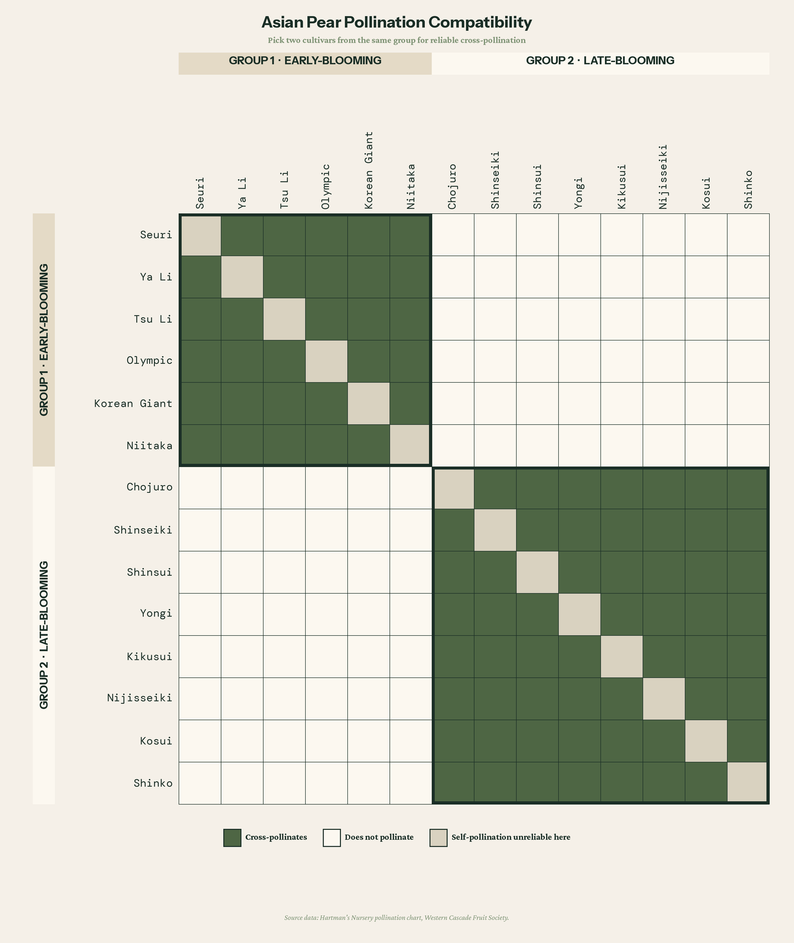 Asian pear pollination compatibility matrix showing two distinct bloom groups that do not cross-pollinate