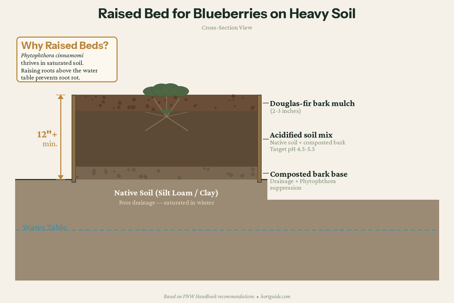 Raised bed cross-section showing bark mulch, acidified soil mix, and composted bark drainage base above native clay