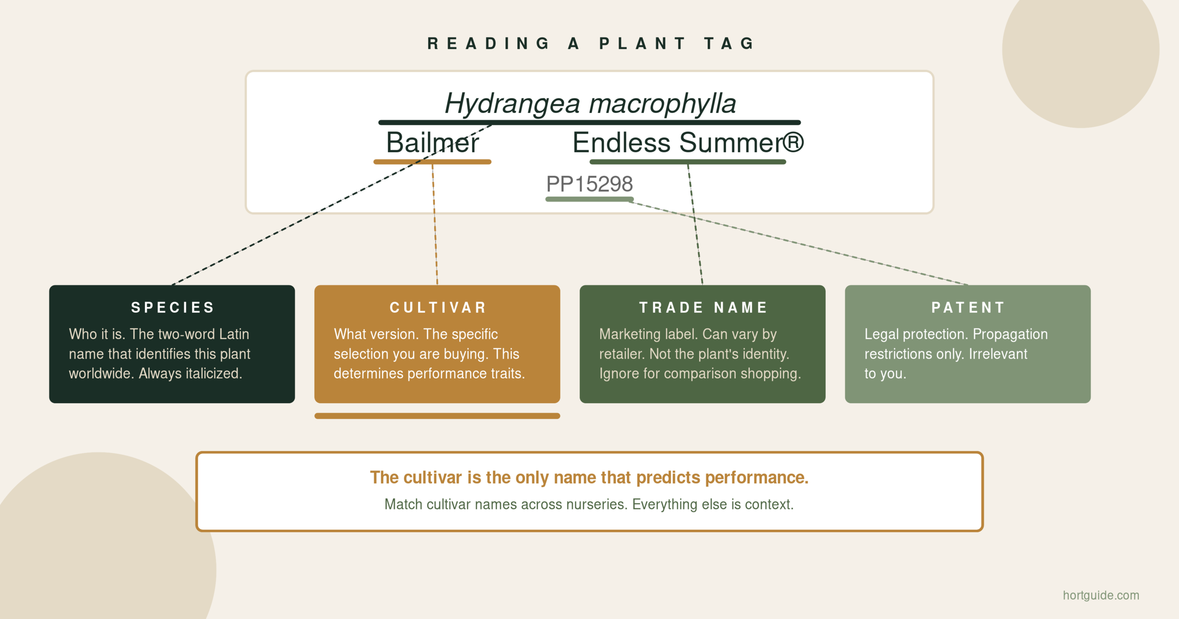 Botanical Nomenclature: How to Read a Plant Name