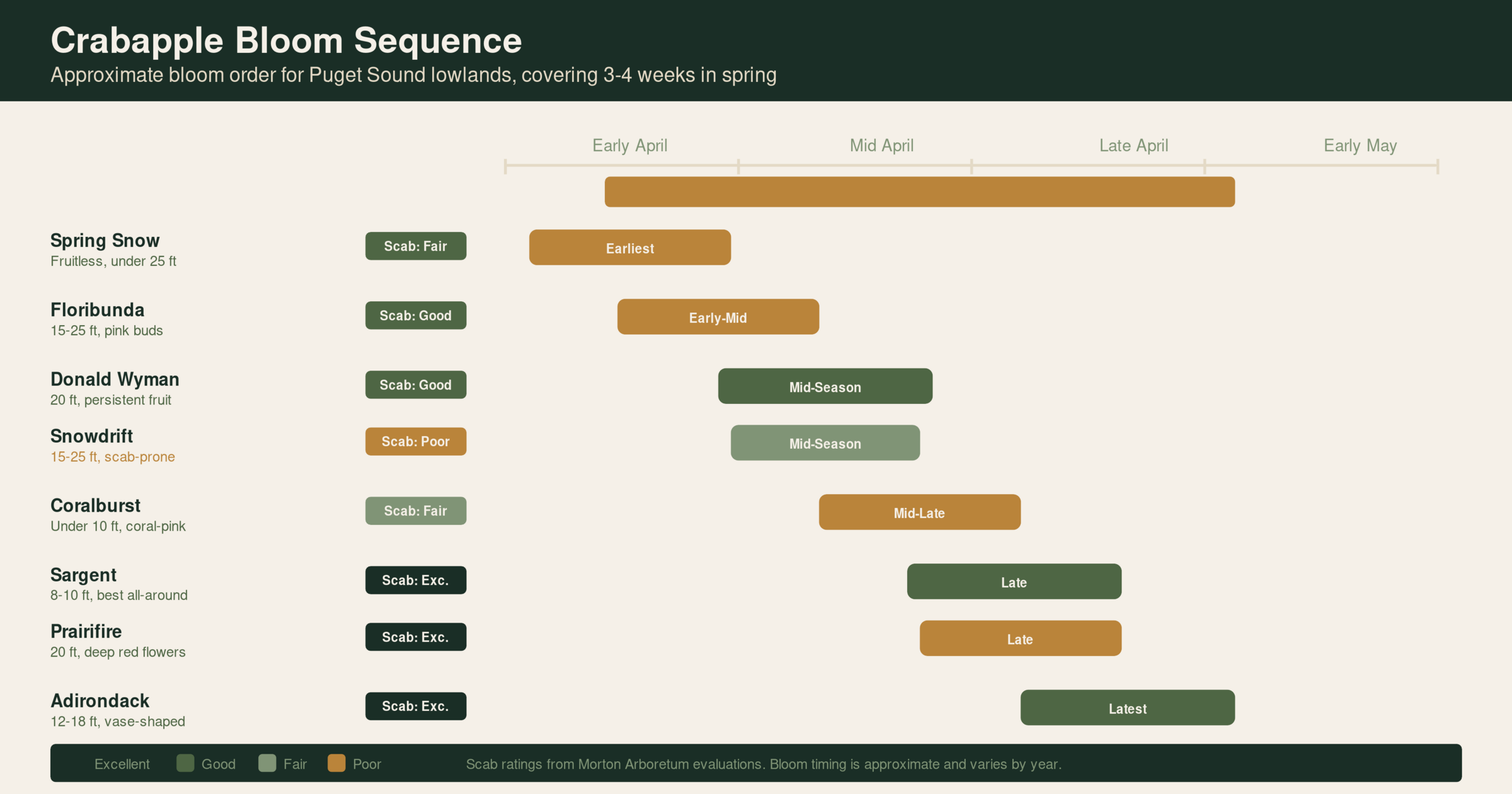 Crabapple bloom sequence diagram for Puget Sound showing approximate timing from early April through early May with scab resistance ratings
