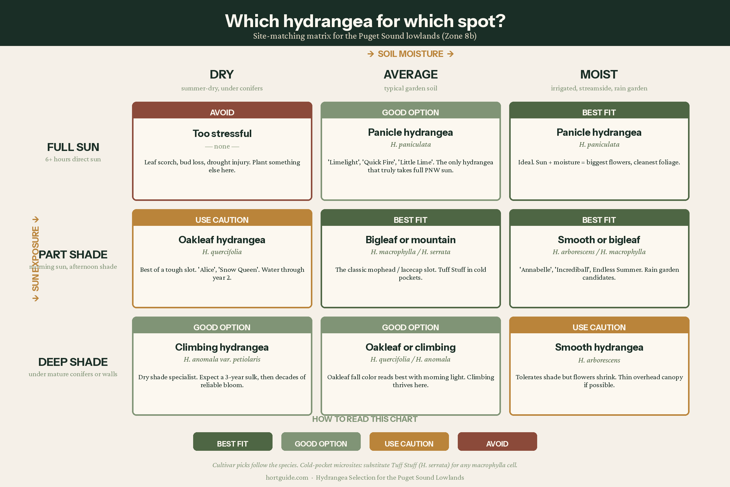 Site-matching matrix: a three-by-three grid showing which hydrangea species to plant for each combination of sun exposure and soil moisture in the Puget Sound lowlands