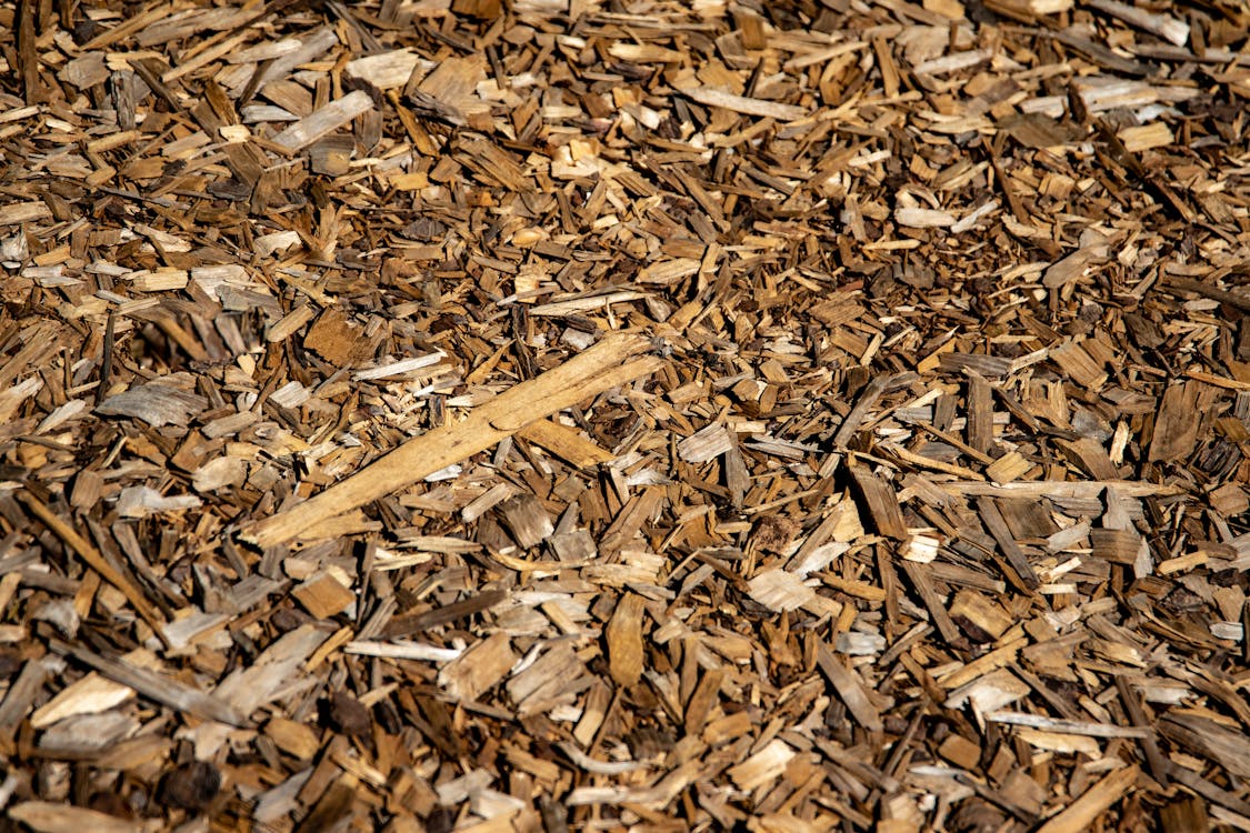 Mulching: The Cheapest Thing You Can Do for Your Trees