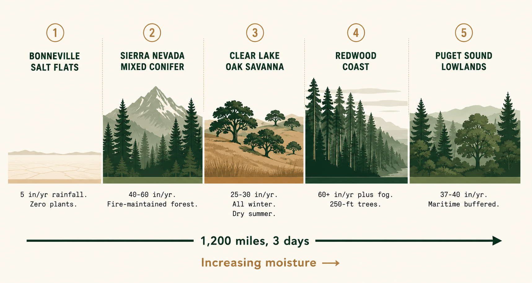Reading the Landscape: What a Desert-to-Rainforest Drive Teaches About Climate and Plants
