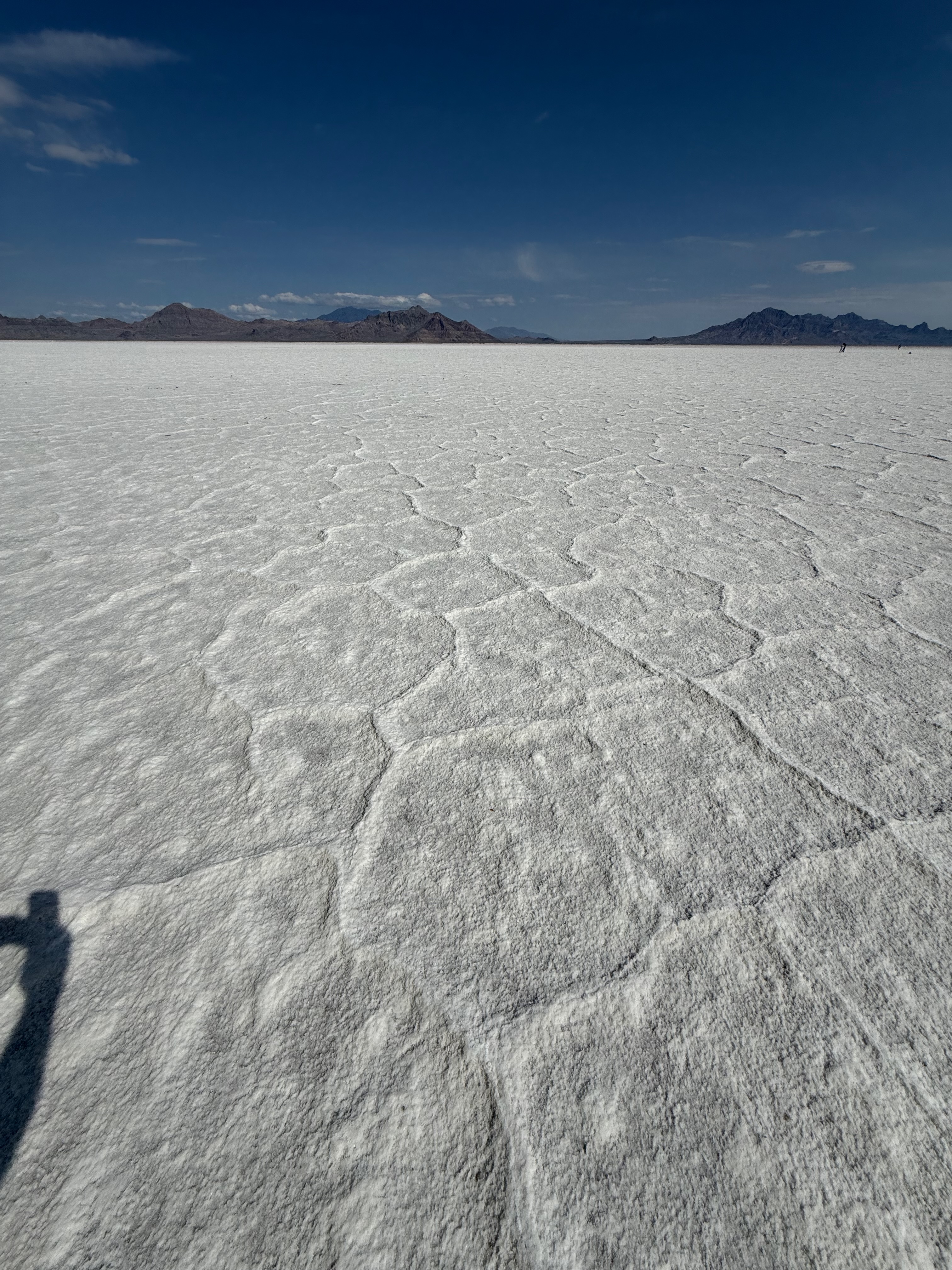 Salt flat detail showing polygon patterns