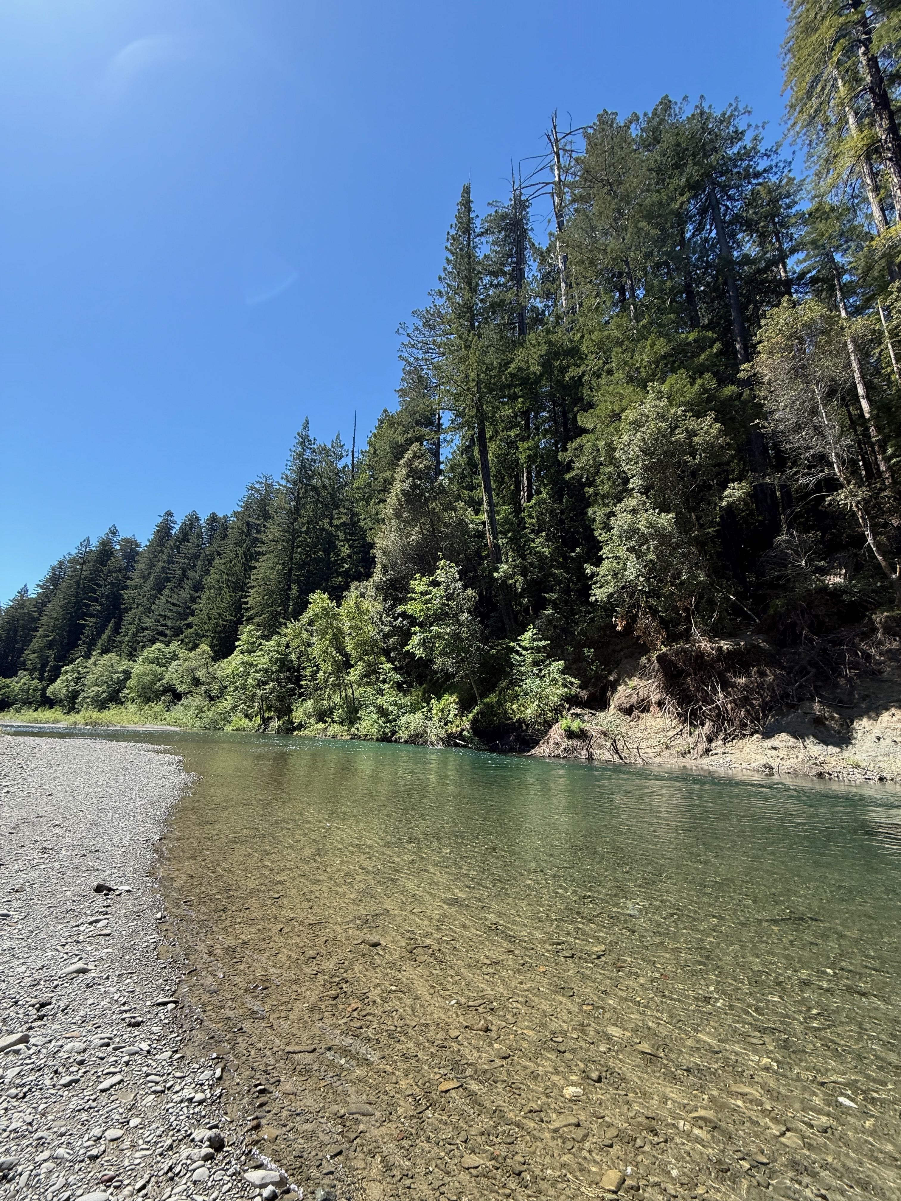 Eel River at water level, clear gravel bed with forested banks
