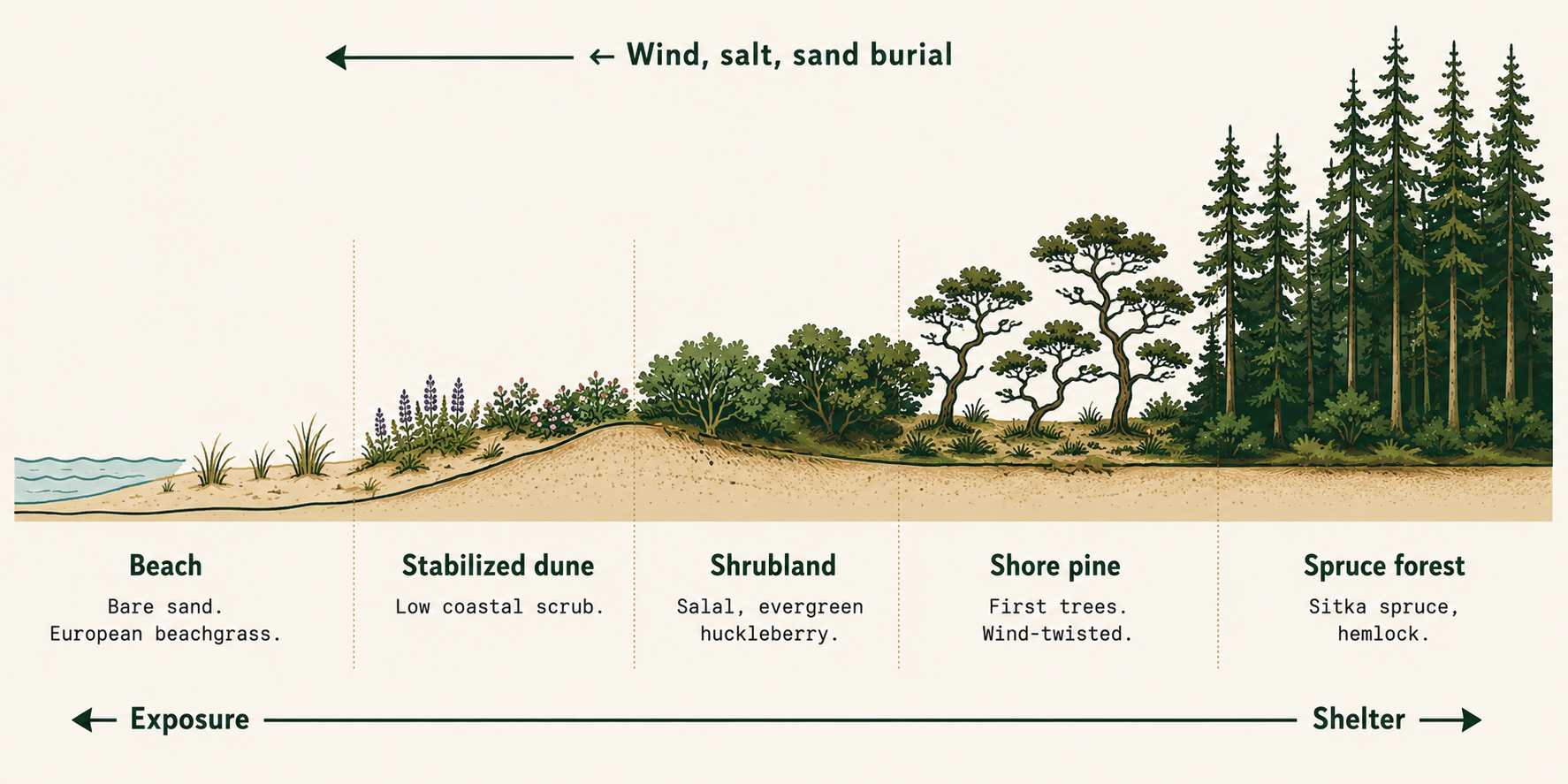 The Maritime Edge: Observing Coastal Ecosystems from Northern California to Willapa Bay